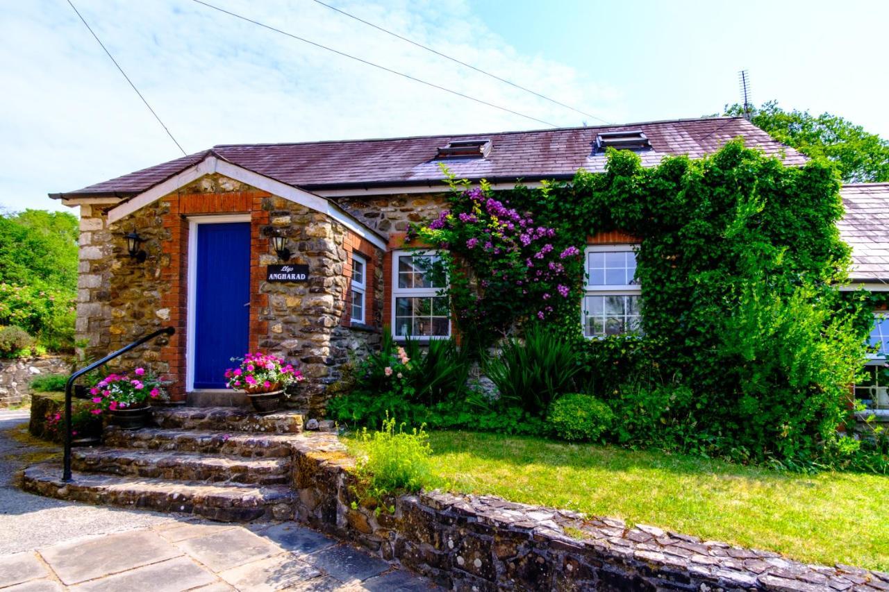 Lakeside Cottage Καρμάρθεν Εξωτερικό φωτογραφία